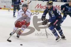 DEL - Eishockey - ERC Ingolstadt - Düsseldorfer EG - Saison 2015/2016 - Salcido Brian (#22 ERC Ingolstadt) - Fischbuch Daniel (#77 Düsseldorf) - Foto: Meyer Jürgen