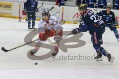 DEL - Eishockey - ERC Ingolstadt - Düsseldorfer EG - Saison 2015/2016 - Salcido Brian (#22 ERC Ingolstadt) - Fischbuch Daniel (#77 Düsseldorf) - Foto: Meyer Jürgen