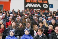 DEL - Eishockey - ERC Ingolstadt - Düsseldorfer EG - Saison 2015/2016 - Fans mit Nikolausmütze - Foto: Jürgen Meyer