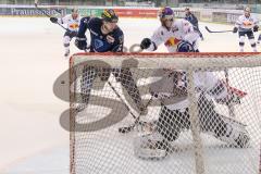 DEL - Eishockey - ERC Ingolstadt - EHC Red Bull München - Petr Taticek (#17 ERC Ingolstadt) - Leggio David (73 München) - Saison 2015/2016 - Foto: Meyer Jürgen