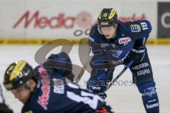 DEL - Eishockey - ERC Ingolstadt - Grizzlys Wolfsburg - Saison 2015/2016 - Danny Irmen (#19 ERC Ingolstadt) - Foto: Jürgen Meyer