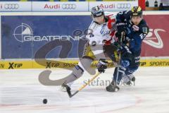 DEL - Eishockey - ERC Ingolstadt - Eisbären Berlin - Saison 2015/2016 - Jared Ross (#42 ERC Ingolstadt) - Busch Florian (#26 Berlin) - Foto: Jürgen Meyer