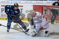 DEL - Eishockey - ERC Ingolstadt - Düsseldorfer EG DEG -  Jared Ross (ERC 42) knapp am Tor von Mathias Niederberger (DEG 35)