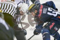 DEL - Eishockey - ERC Ingolstadt - Hamburg Freezers - Saison 2015/2016 - Jared Ross (#42 ERC Ingolstadt) beim Bully -  Foto: Meyer Jürgen