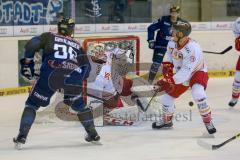 DEL - Eishockey - ERC Ingolstadt - Düsseldorfer EG DEG -  Thomas Greilinger (ERC 39) trifft, Puck prallt im Tor ab, Tor wird später nach Videobeweis gewertet. Torwart Mathias Niederberger (DEG 35), Jubel