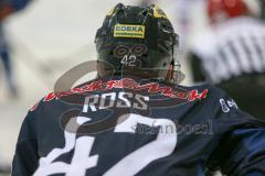 DEL - Eishockey - ERC Ingolstadt - Kölner Haie - Saison 2015/2016 - Jared Ross (#42 ERC Ingolstadt) - Foto: Meyer Jürgen