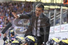 DEL - Eishockey - ERC Ingolstadt - Adler Mannheim - Saison 2015/2016 - Manny Viveiros (Trainer ERC Ingolstadt) mit der Leistung seiner Mannschaft unzufrieden - Foto: Jürgen Meyer