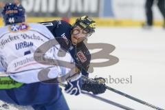 DEL - Eishockey - ERC Ingolstadt - Straubing Tigers - Saison 2015/2016 - Petr Taticek (#17 ERC Ingolstadt) - Foto: Jürgen Meyer