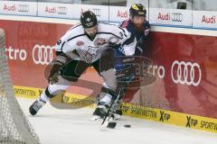 DEL - Eishockey - ERC Ingolstadt - Thomas Sabo Ice Tigers - Saison 2015/2016 - Thomas Pielmeier (#50 ERC Ingolstadt) - Marco Nowak (#8 Ice Tigers)) - Foto: Meyer Jürgen