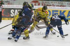 DEL - Eishockey - ERC Ingolstadt - Krefeld Pinguine - Saison 2015/2016 - Jared Ross (#42 ERC Ingolstadt) - Oliver Mebus (#22 Krefeld)  - Patrick Galbraith Torwart (#31 Krefeld)  - Tomas Kubalik (#81 ERC Ingolstadt) - Foto: Meyer Jürgen