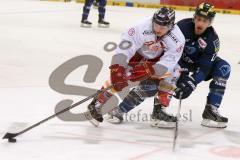 DEL - Eishockey - ERC Ingolstadt - Düsseldorfer EG - Saison 2015/2016 - Salcido Brian (#22 ERC Ingolstadt) - Fischbuch Daniel (#77 Düsseldorf) - Foto: Meyer Jürgen