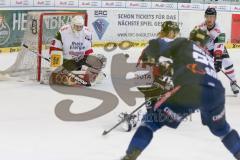 DEL - Eishockey - ERC Ingolstadt - Kölner Haie - Saison 2015/2016 - Thomas Greilinger (#39 ERC Ingolstadt) mit dem 1:0 Führungstreffer - Gustaf Wesslau Torwart (#29 Köln) - Foto: Meyer Jürgen