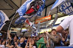 DEL - Eishockey - ERC Ingolstadt - EHC Red Bull München - Fans - Choreo - Fahnen - Saison 2015/2016 - Foto: Meyer Jürgen