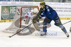 DEL - Eishockey - ERC Ingolstadt - Adler Mannheim - Saison 2015/2016 - Emery Raymond Torwart(#30 Mannheim) - Tomas Kubalik (#81 ERC Ingolstadt) - Foto: Meyer Jürgen