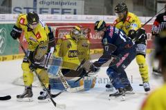 DEL - Eishockey - ERC Ingolstadt - Krefeld Pinguine - Saison 2015/2016 - Petr Taticek (#17 ERC Ingolstadt) - Klein Patrick (#29 Krefeld) Torwart Krefeld - Mebus Oliver (#22 Krefeld) - Foto: Jürgen Meyer