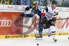 DEL - Eishockey - ERC Ingolstadt - Kölner Haie - Saison 2015/2016 - Brandon McMillan (ERC Ingolstadt) - Syvret Daniel (#5 Köln) - Foto: Meyer Jürgen