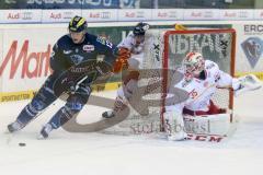 DEL - Eishockey - ERC Ingolstadt - Düsseldorfer EG - Saison 2015/2016 - Martin Davidek (#12 ERC Ingolstadt) - Niederberger Mathias Torwart (#35 Düsseldorf) - Foto: Meyer Jürgen