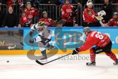 DEL - Eishockey - Kölner Haie - ERC Ingolstadt - Saison 2016/2017 - Angriff Darryl Boyce (ERC 10), rechts Pilip Gogula (87 Köln)