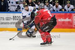 DEL - Eishockey - Kölner Haie - ERC Ingolstadt - Saison 2016/2017 - Thomas Oppenheimer (ERC 8) gegen Shawn Lalonde (9 Köln)