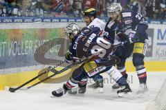 DEL - Eishockey - Eisbären Berlin - ERC Ingolstadt - Saison 2016/2017 - Petr Taticek (#17 ERCI) - Constantin Braun (#90 Berlin) - Foto: Meyer Jürgen