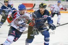 DEL - Eishockey - ERC Ingolstadt - Adler Mannheim - Saison 2016/2017 - Jean-Francois Jacques (#44 ERCI) - Kolarik Chad (#42 Mannheim) - Foto: Meyer Jürgen