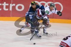 DEL - Eishockey - ERC Ingolstadt - Kölner Haie - Saison 2016/2017 - Thomas Pielmeier (#50 ERCI) - Philip Gogulla (#87 Köln) - Foto: Meyer Jürgen