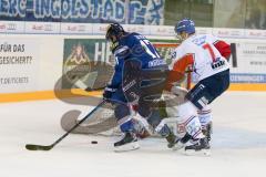 DEL - Eishockey - ERC Ingolstadt - Adler Mannheim - Saison 2016/2017 - Petr Taticek (#17 ERCI) - Akdag Sinan (#7 Mannheim) - Endras Dennis Torwart (#44 Mannheim) - Foto: Meyer Jürgen