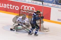 DEL - Eishockey - ERC Ingolstadt - Eisbären Berlin - Saison 2016/2017 - David Elsner (#61 ERCI) mit dem Schuss zum 6:1 Führungstreffer - jubel - Marvin Cüpper (Torwart #39 Berlin) - Foto: Meyer Jürgen