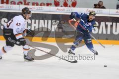 DEL - Eishockey - ERC Ingolstadt - Grizzlys Wolfsburg - Saison 2016/2017 - Brian Salcido (#22 ERCI) -  Foto: Meyer Jürgen