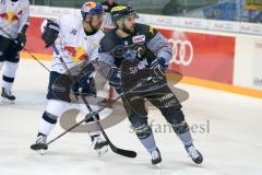 DEL - Eishockey - ERC Ingolstadt - EHC Red Bull München - Saison 2016/2017 - Thomas Oppenheimer (#8 ERCI) - Seidenberg Yannic (#36 München) - Foto: Meyer Jürgen