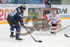 DEL - Eishockey - ERC Ingolstadt - Düsseldorfer EG - Saison 2016/2017 - Thomas Greilinger (#39 ERCI) - Torwart Mathias Niederberger (Nr.35, Duesseldorfer EG) - Foto: Meyer Jürgen