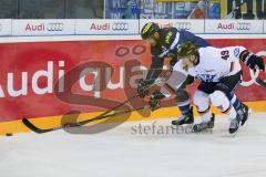 DEL - Eishockey - ERC Ingolstadt - Grizzlys Wolfsburg - Saison 2016/2017 - Thomas Oppenheimer (#8 ERCI) - Voakes Mark (#49 Wolfsburg) - Foto: Meyer Jürgen