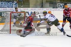 DEL - Eishockey - ERC Ingolstadt - Fischtown Pinguins - Saison 2016/2017 - Martin Buchwieser (#16 ERCI) - Jerry Kuhn (Torwart #35 Bremerhaven) - Foto: Meyer Jürgen