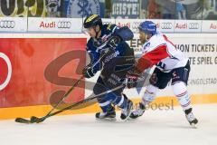 DEL - Eishockey - ERC Ingolstadt - Adler Mannheim - Saison 2016/2017 - Benedikt Kohl (#34 ERCI) - Arendt Ronny (57 Mannheim) - Foto: Meyer Jürgen