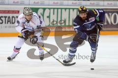 DEL - Eishockey - ERC Ingolstadt - Eisbären Berlin - Saison 2016/2017 - Thomas Oppenheimer (#8 ERCI) - Julian Talbot (#48 Berlin) - Foto: Meyer Jürgen