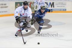 DEL - Eishockey - ERC Ingolstadt - Straubing Tigers - Saison 2016/2017 - Martin Buchwieser (#16 ERCI) - Yeo Dylan (#5 Straubing) - Foto: Meyer Jürgen