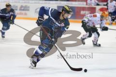 DEL - Eishockey - ERC Ingolstadt - Fischtown Pinguins - Saison 2016/2017 - John Laliberte (#15 ERCI) - Foto: Meyer Jürgen