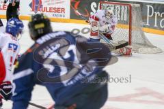 DEL - Eishockey - ERC Ingolstadt - Adler Mannheim - Saison 2016/2017 - Brian Salcido (#22 ERCI) mit einem Schuss auf das Tor - Endras Dennis Torwart (#44 Mannheim) - Foto: Meyer Jürgen