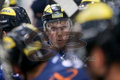 DEL - Eishockey - ERC Ingolstadt - Eisbären Berlin - Saison 2016/2017 - Danny Irmen (#19 ERCI) - Foto: Meyer Jürgen