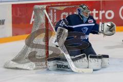 DEL - Eishockey - ERC Ingolstadt - Schwenninger Wild Wings - Saison 2016/2017 - Timo Pielmeier Torwart (#51 ERCI) fängt den Puck sicher - Foto: Meyer Jürgen