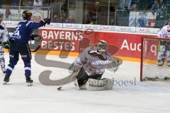 DEL - Eishockey - ERC Ingolstadt - Augsburger Panther - Saison 2016/2017 - Dustin Friesen (#14 ERCI) mit dem 1:1 Ausgleichstreffer - Jubel - Ben Meisner Torwart (#30 Augsburg) - Foto: Meyer Jürgen