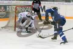 DEL - Eishockey - ERC Ingolstadt - Augsburger Panther - Saison 2016/2017 - Thomas Greilinger (#39 ERCI) - Ben Meisner Torwart (#30 Augsburg) - Foto: Meyer Jürgen