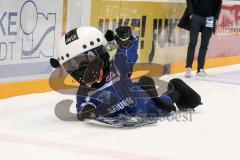 DEL - Eishockey - ERC Ingolstadt - Kölner Haie - Saison 2016/2017 - Stadtwerke mit einem Spiel auf dem Eis - Xaverl - Foto: Meyer Jürgen