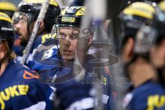 DEL - Eishockey - ERC Ingolstadt - Fischtown Pinguins - Saison 2016/2017 - Danny Irmen (#19 ERCI) - Foto: Meyer Jürgen