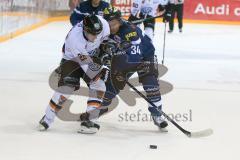 DEL - Eishockey - ERC Ingolstadt - Grizzlys Wolfsburg - Saison 2016/2017 - Mulock Tyson (#26 Wolfsburg) - Benedikt Kohl (#34 ERCI) - Foto: Meyer Jürgen