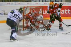 DEL - Eishockey - ERC Ingolstadt - Fischtown Pinguins - Saison 2016/2017 - Petr Pohl (#33 ERCI) - Jerry Kuhn (Torwart #35 Bremerhaven) - Foto: Meyer Jürgen