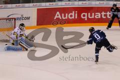 DEL - Eishockey - ERC Ingolstadt - Krefeld Pinguine - Saison 2016/2017 - Brandon Buck (#9 ERCI) verschiesst einen Penalty - Patrick Galbraith Torwart (#31 Krefeld) - Foto: Meyer Jürgen