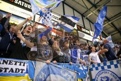 DEL - Eishockey - ERC Ingolstadt - Schwenninger Wild Wings - Saison 2016/2017 - Fans - Jubel - Foto: Meyer Jürgen