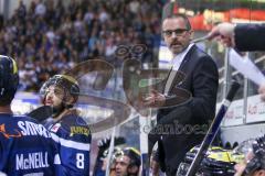 DEL - Eishockey - ERC Ingolstadt - Krefeld Pinguine - Saison 2016/2017 - Tommy Samuelsson (Cheftrainer ERCI) - Foto: Meyer Jürgen