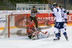 DEL - Eishockey - ERC Ingolstadt - Fischtown Pinguins - Saison 2016/2017 - Der 1:1 Ausgleichstreffer von Benedikt Kohl (#34 ERCI) - Jubel - Jerry Kuhn (Torwart #35 Bremerhaven) - Jean-Francois Jacques (#44 ERCI) - Foto: Meyer Jürgen